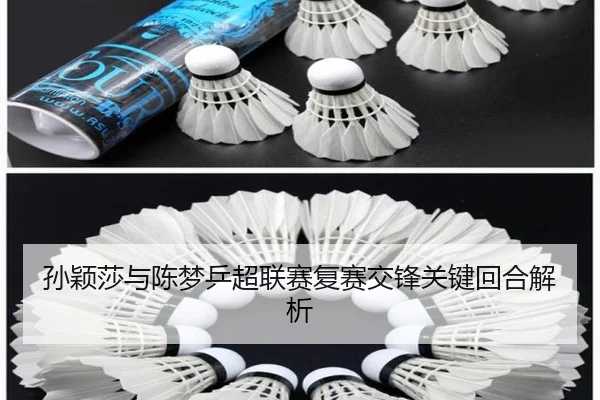 孙颖莎与陈梦乒超联赛复赛交锋关键回合解析 - haixing